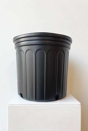 Grow Pot 10" (2.25 gal),potted plant decor