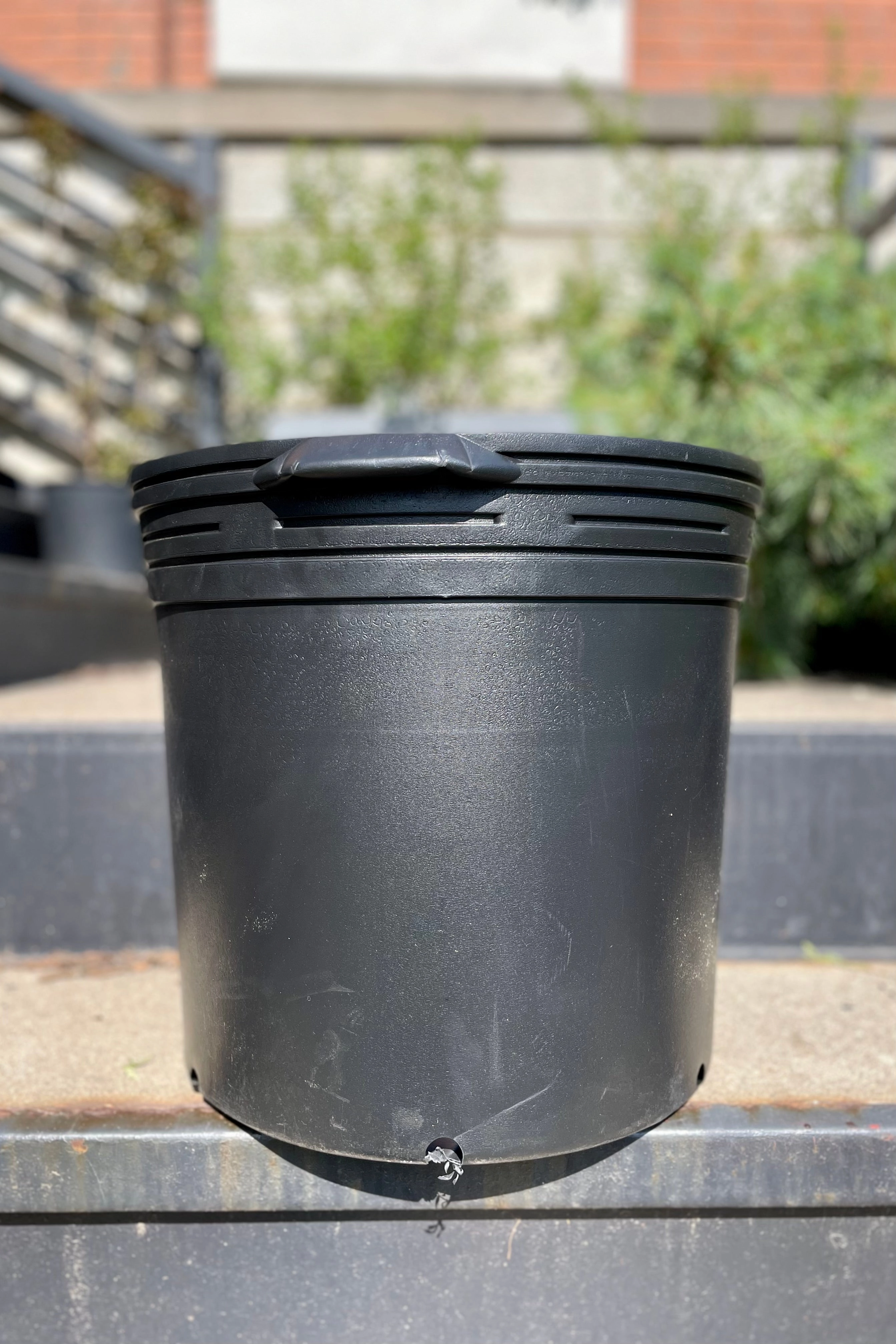 Grow Pot 14" x 11.5" (6.08gal)