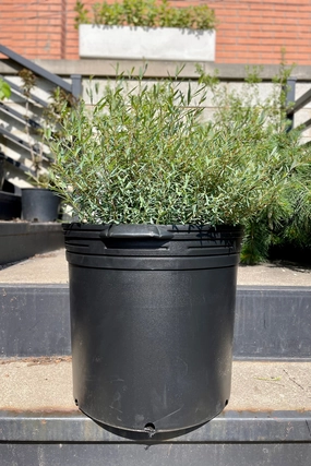 Grow Pot 14" x 11.5" (6.08gal),potted plant decor