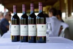 Hanging Tree - Boutique Wines,realistic flower bouquet 