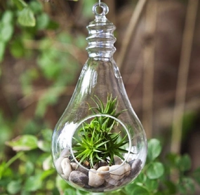 Hanging Bulb Terrarium Bowl,garden field mower