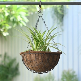 Hanging Coir Basket for Indoor/Outdoor,hanging suspension frame