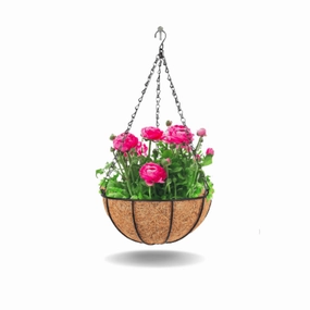 Hanging Coir Planter (Metal Hanger),hanging suspension frame
