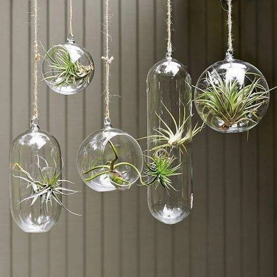 Hanging Glass Vase 3" Round Planter Bubble Ceiling Ball Terrarium