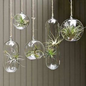Hanging Glass Vase 7" Round Planter Bubble Ceiling Ball Terrarium,aesthetic flower vase