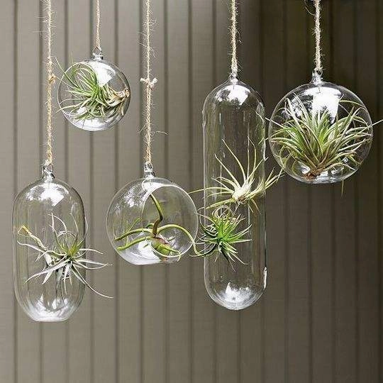 Hanging Glass Vase 9" Oblong Planter Bubble Ceiling Ball Terrarium,aesthetic flower vase