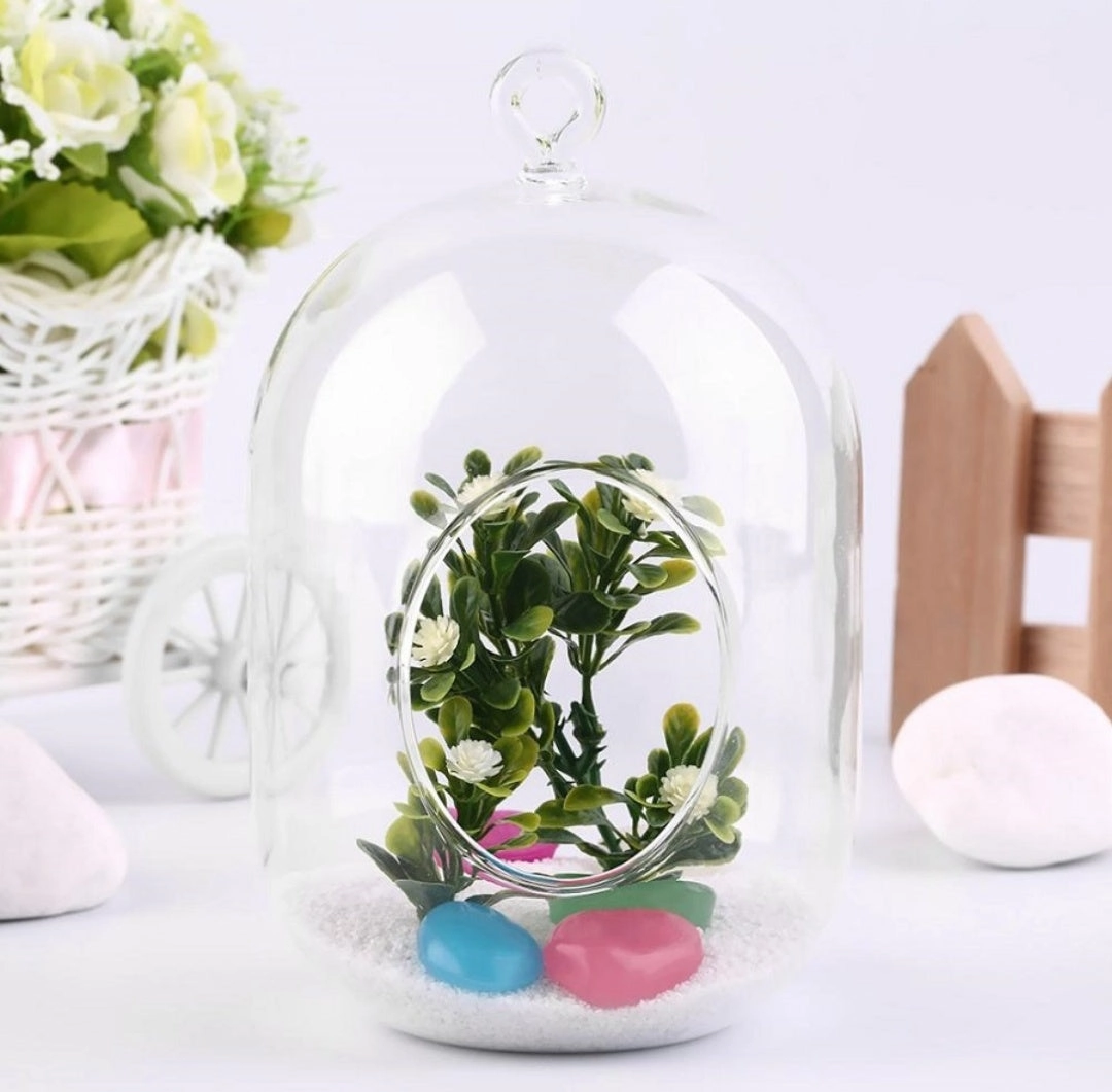 Hanging Oval Terrarium Bowl,garden field mower