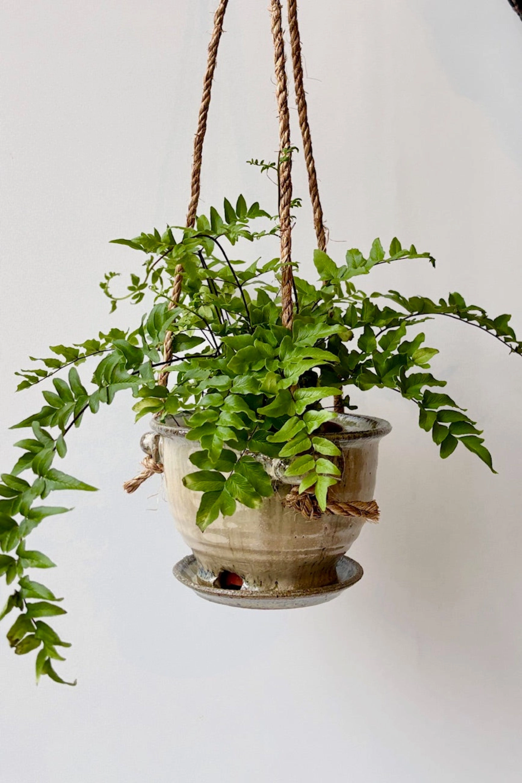 Hanging Planter Ivory & Iron Glaze 4"