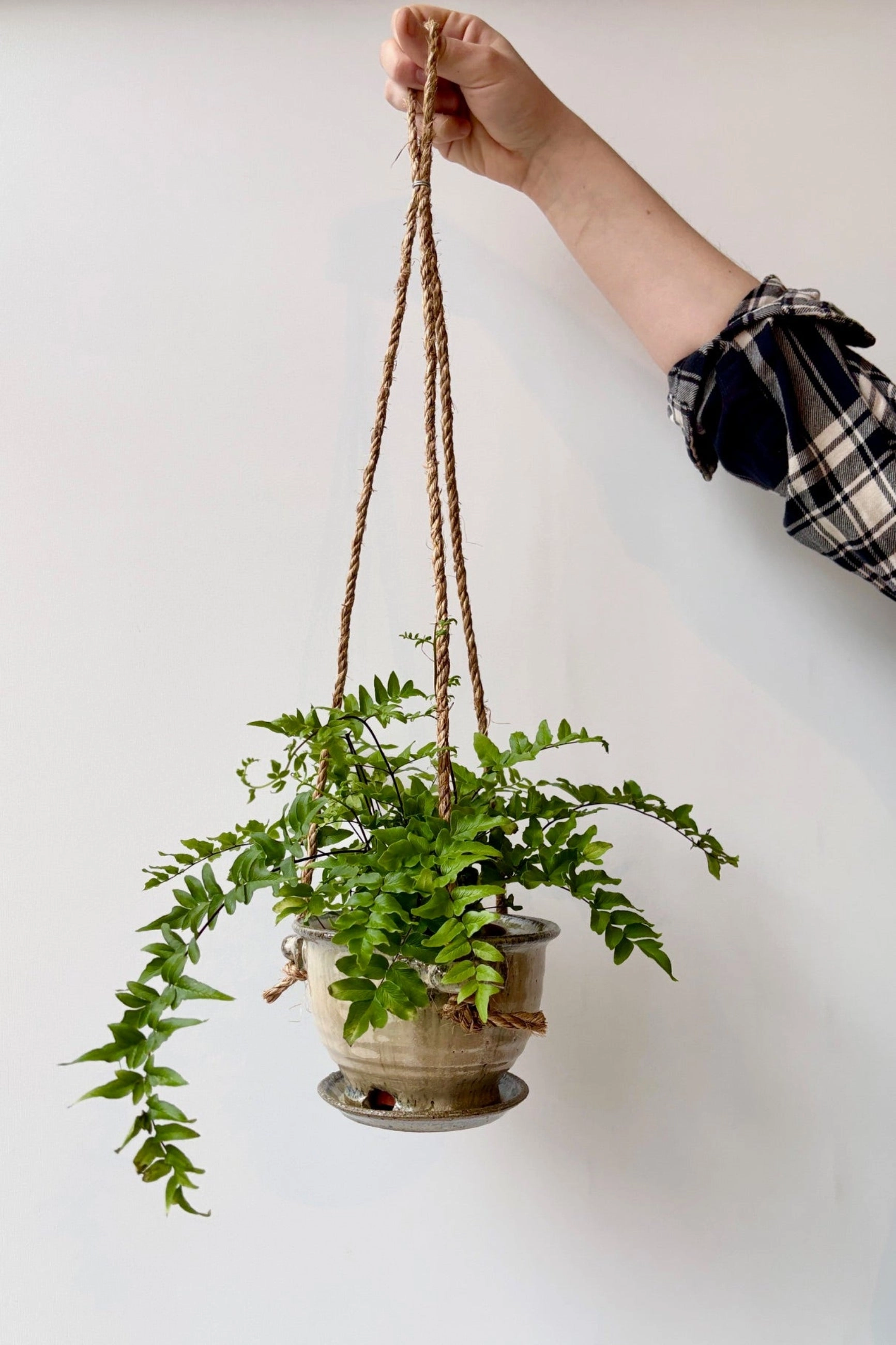 Hanging Planter Ivory & Iron Glaze 4"