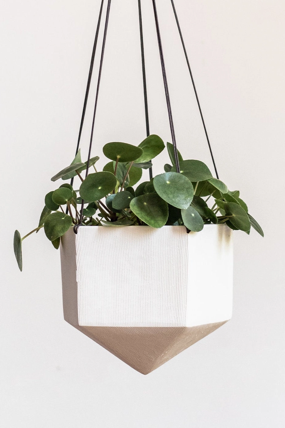 Hanging Planter Linea Carved Lines White Large,indoor flower container