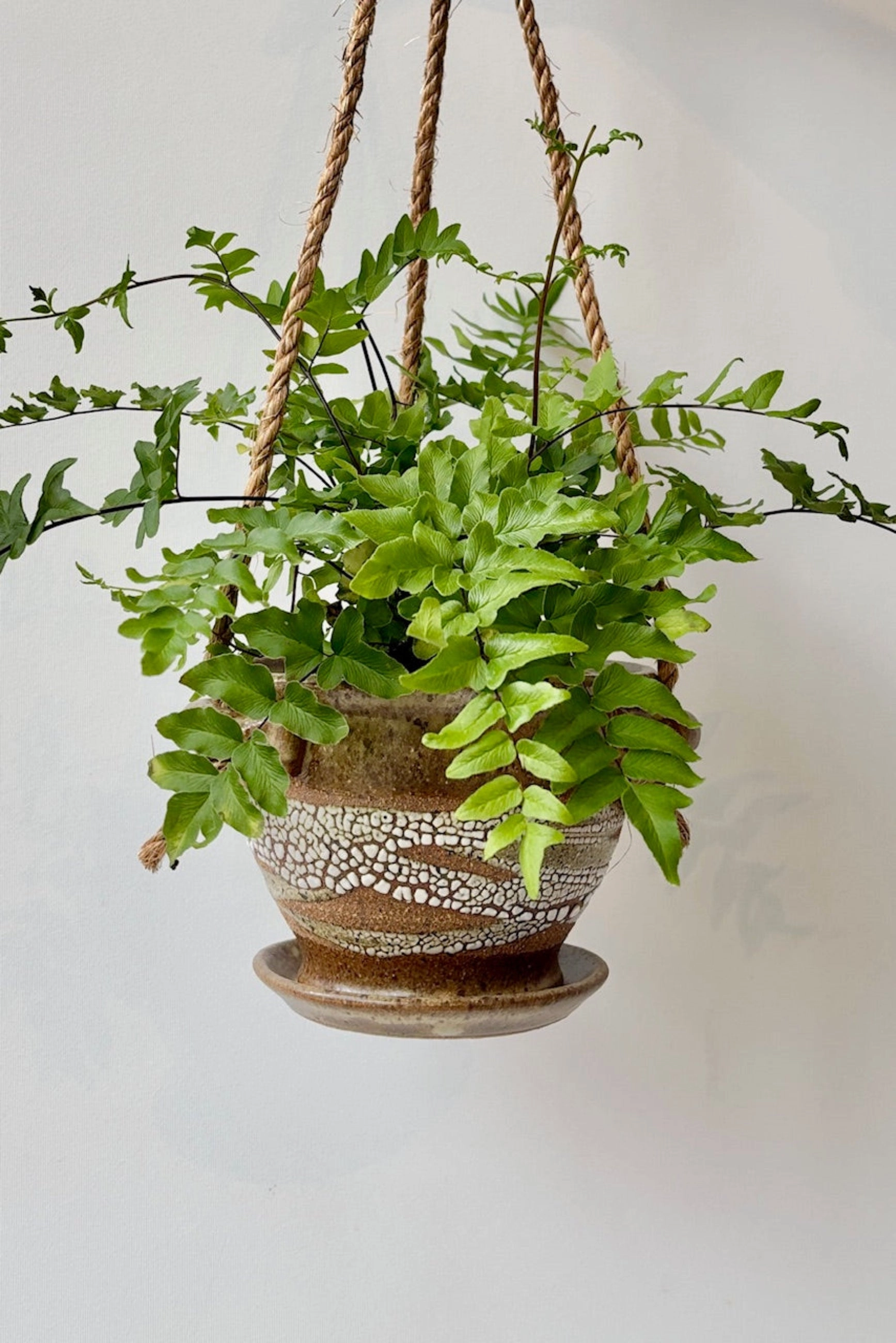 Hanging Planter Super Crackle Glaze 4"