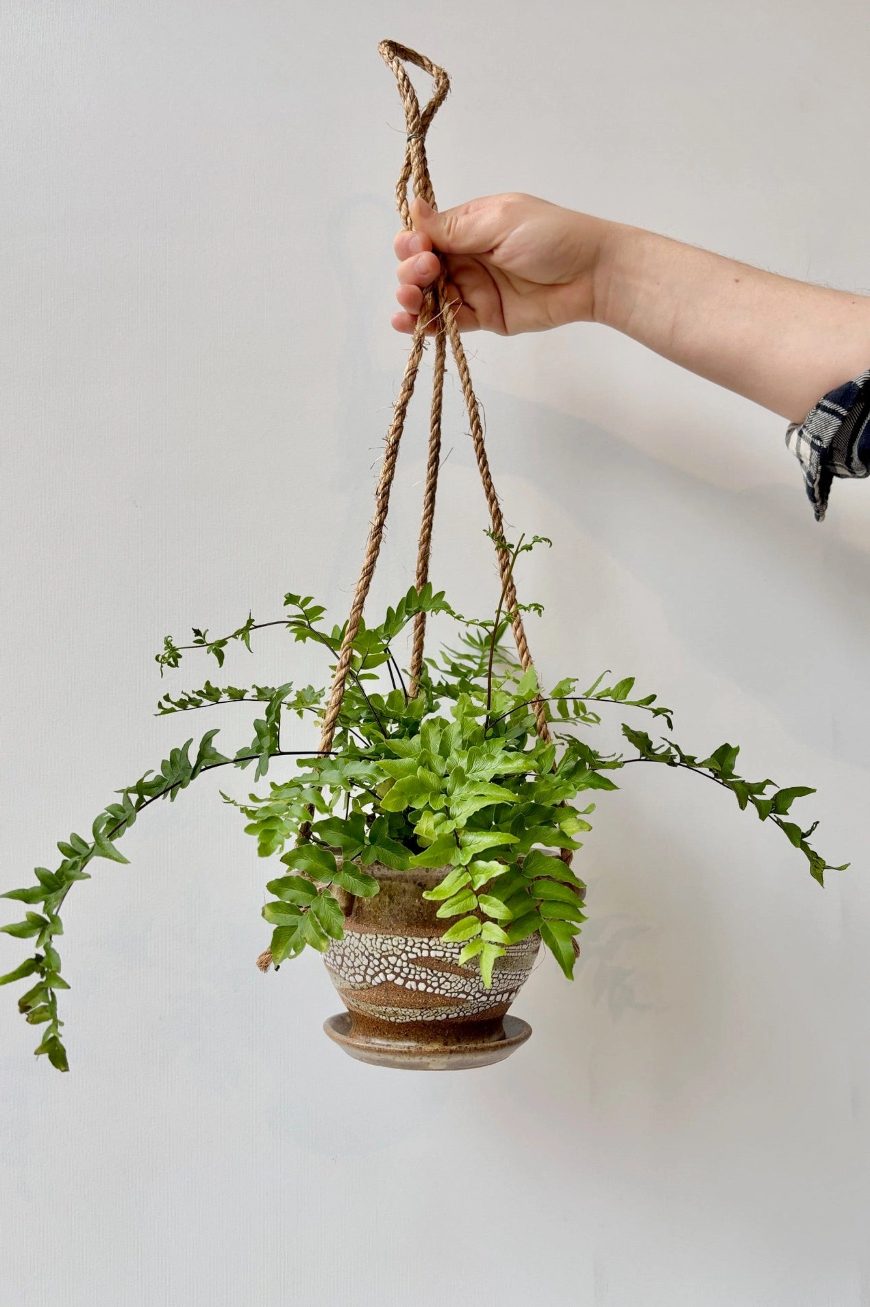 Hanging Planter Super Crackle Glaze 4"