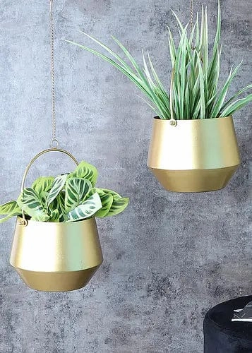 Hanging Vine Planter (Set of 2)