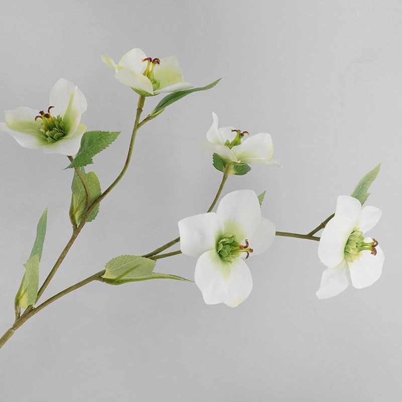 Helleborus Big Stem Artificial Silk Flower HELLEBORUS004-008,dried artificial flower
