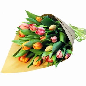 Hello Dolly Tulips,realistic flower bouquet 