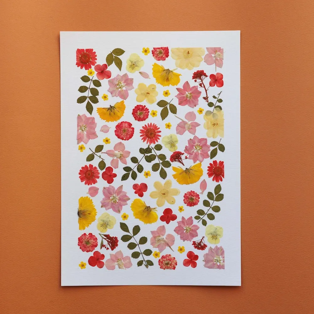 Herbier Jardin de Douceur A4