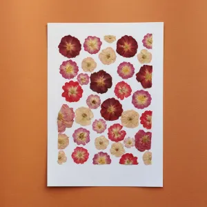 Herbier Jardin des amoureux A4,artificial single flower