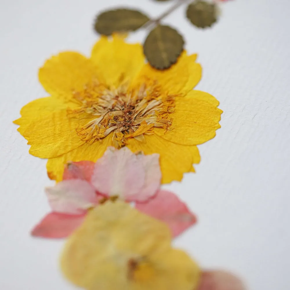 Herbier Ode  la Nature A4