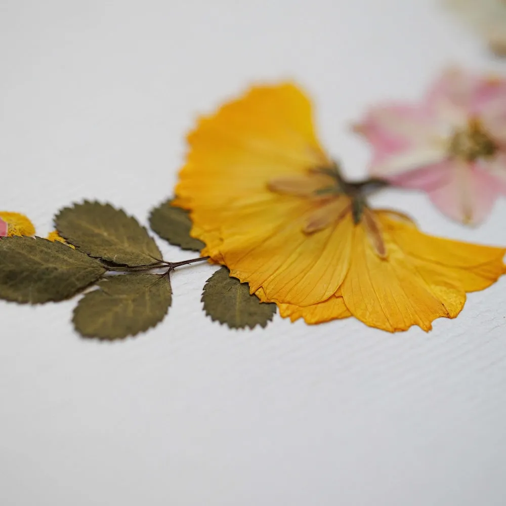 Herbier Posie des Saisons A4