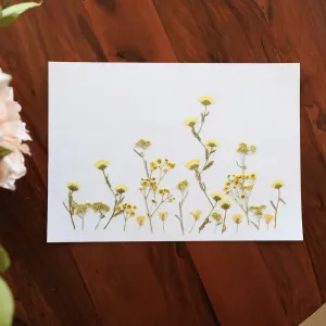 Herbier ptales champtres A3,artificial single flower