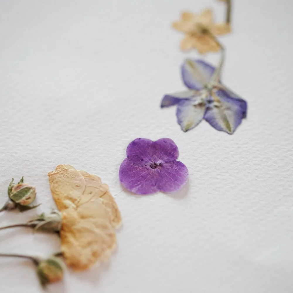 Herbier Ronde Printanire A3