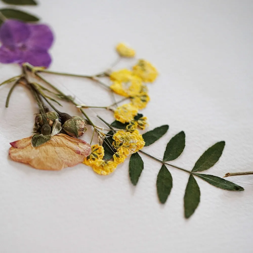 Herbier Ronde Printanire A3