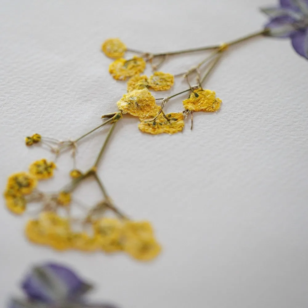 Herbier Ronde Printanire A3