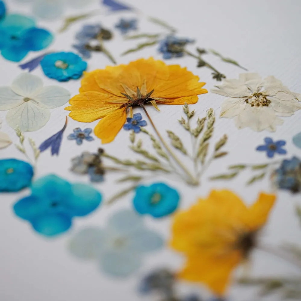 Herbier Rve en fleur A4