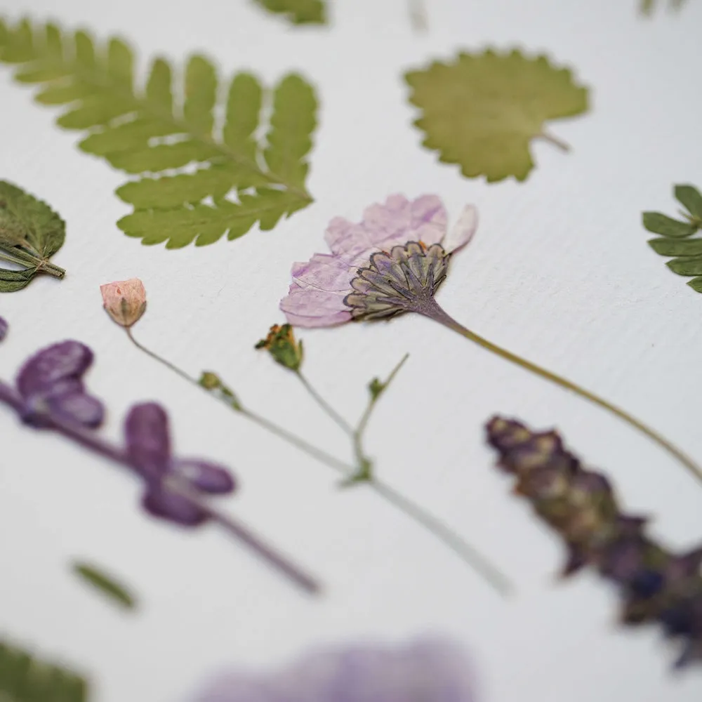Herbier Symphonie Vgtale A4