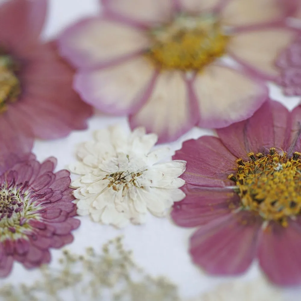 Herbier Valse des Fleurs A3