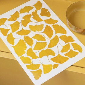 Herbier Camaieux de Ginkgo,artificial single flower