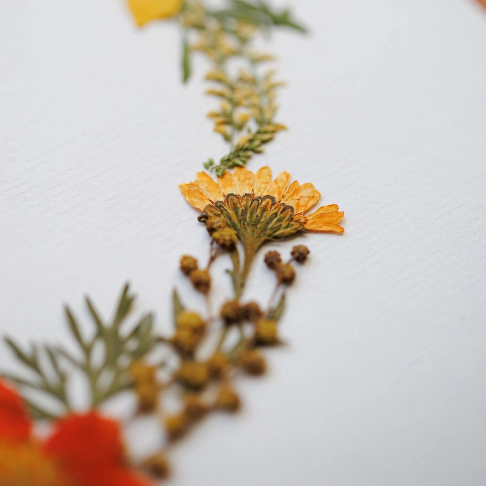 Herbier Chant du Jardin A4