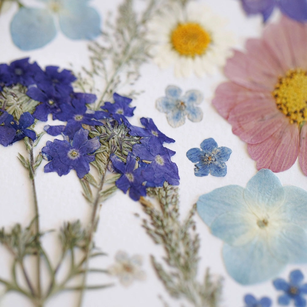 Herbier closion Florale A3