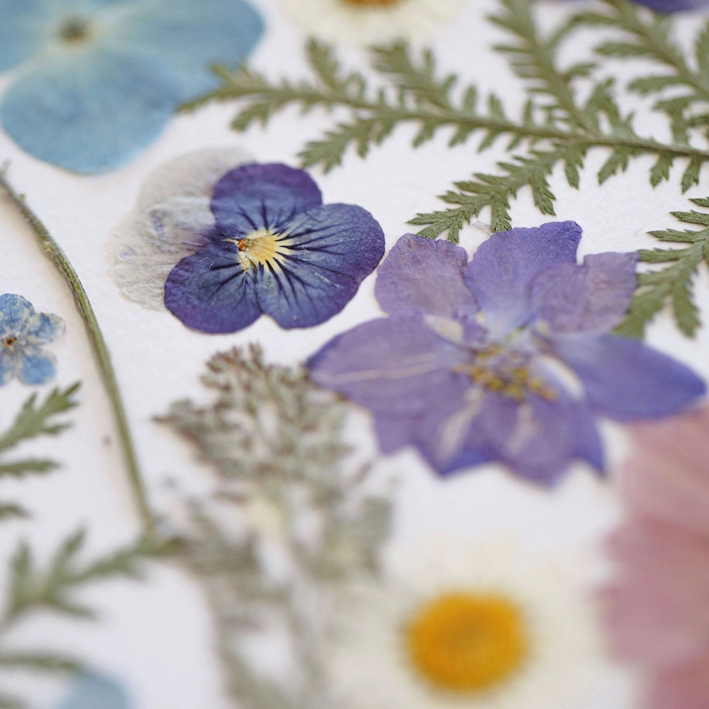 Herbier closion Florale A3