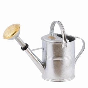 HG Garden Galvanized Watering Can, 9 Liter,garden field mower