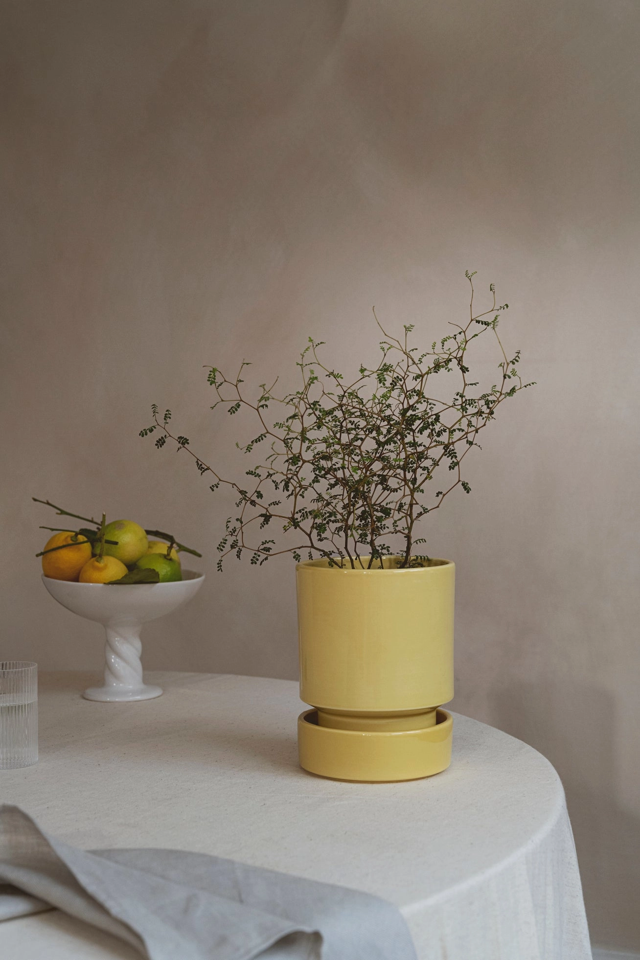 Hoff Pot & Saucer Pale Yellow 5.5
