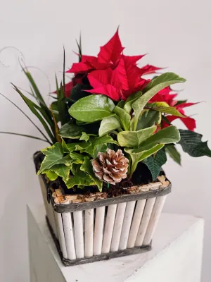 Holiday Planter,realistic flower bouquet 