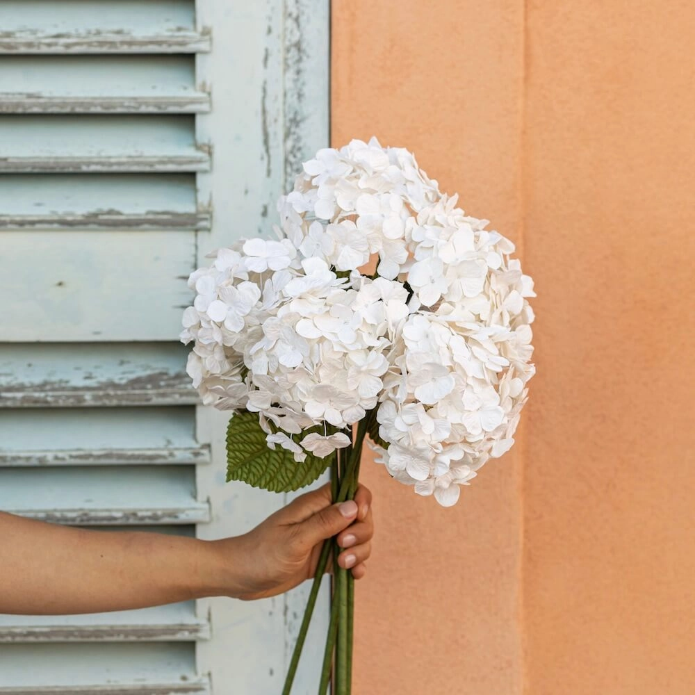 Hortensia en papier blanc