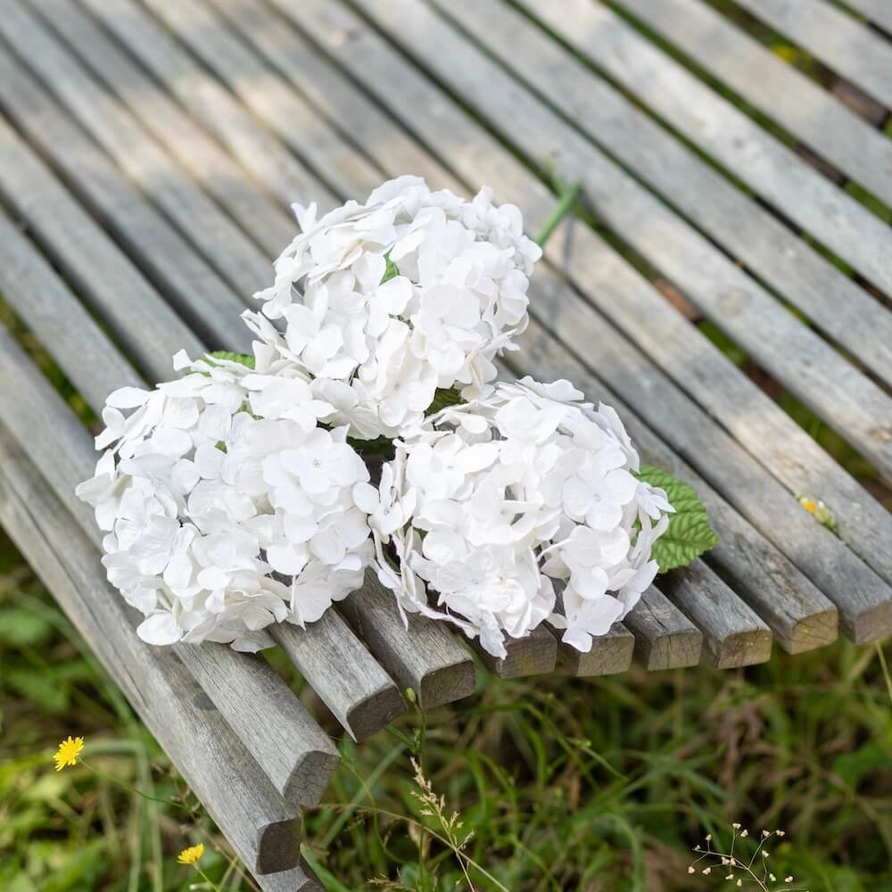 Hortensia en papier blanc