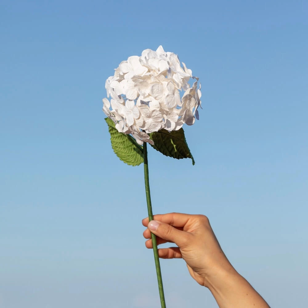 Hortensia en papier blanc