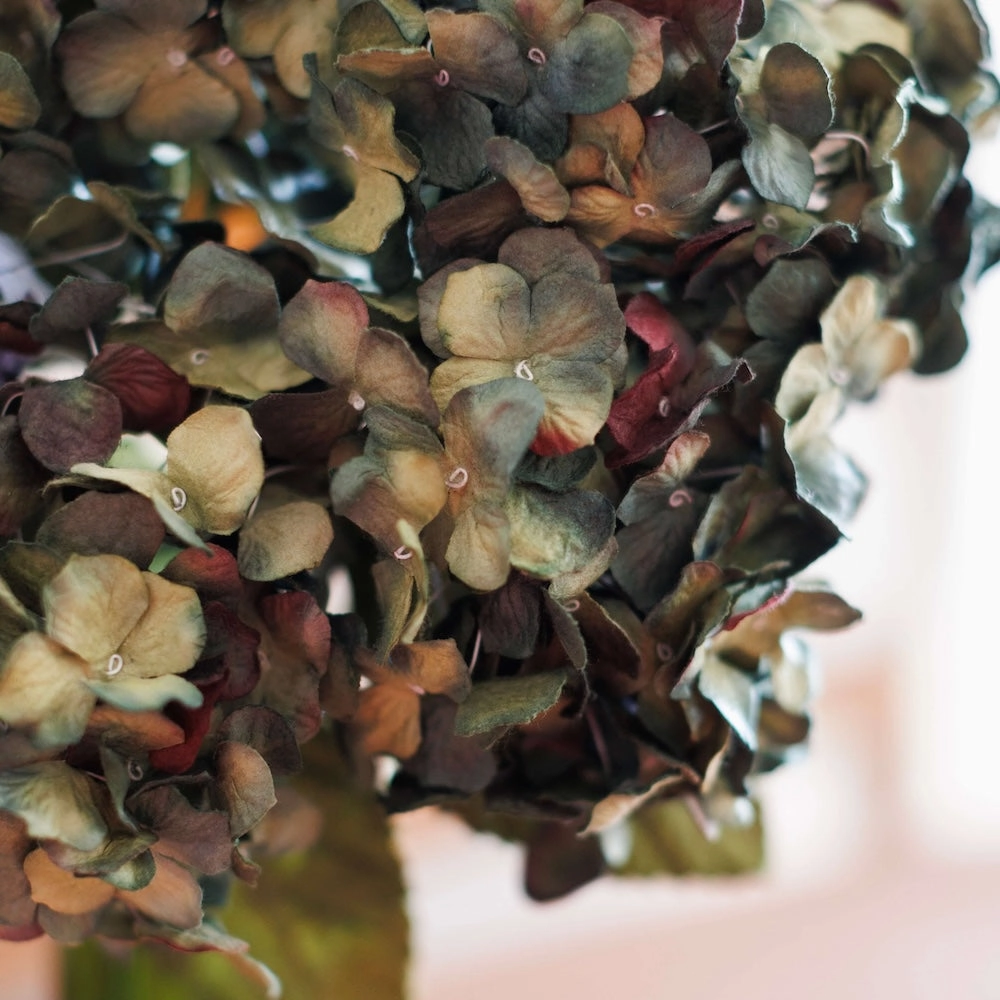 Hortensia en papier naturel