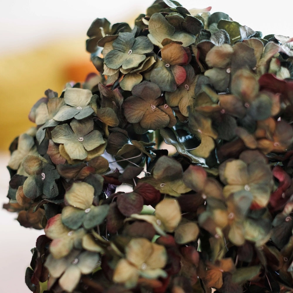 Hortensia en papier naturel