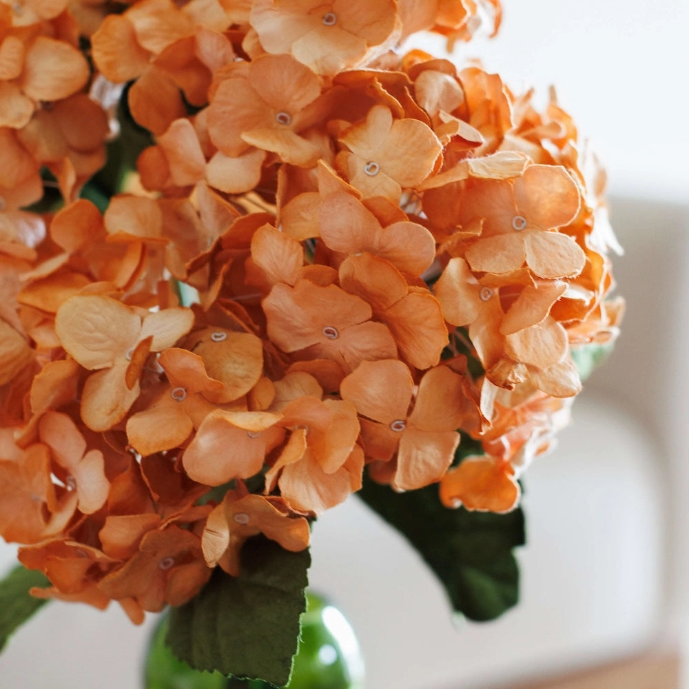 Hortensia en papier orange clair