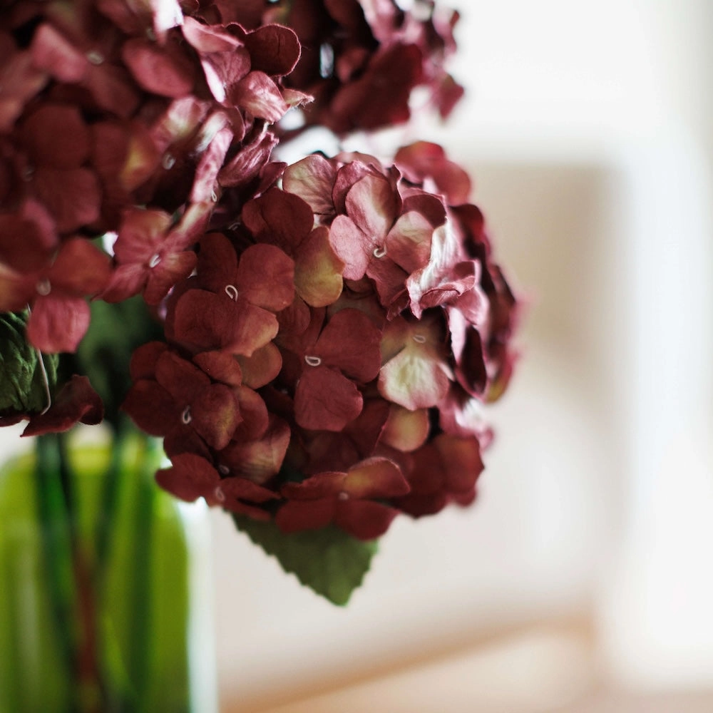 Hortensia en papier prune