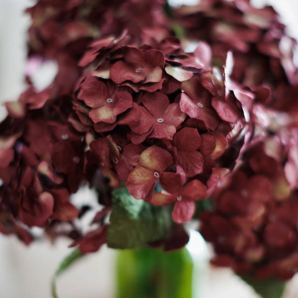 Hortensia en papier prune