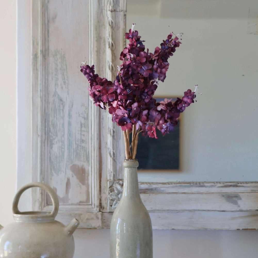 Hortensia panicul en papier violet