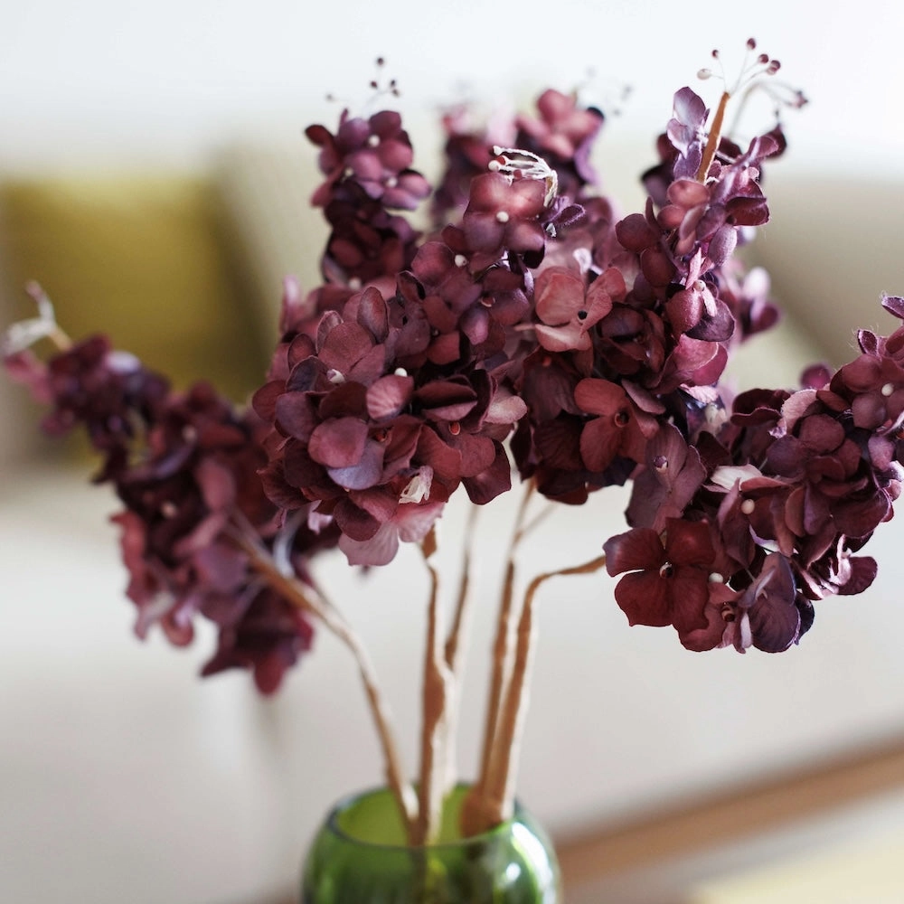 Hortensia panicul en papier violet