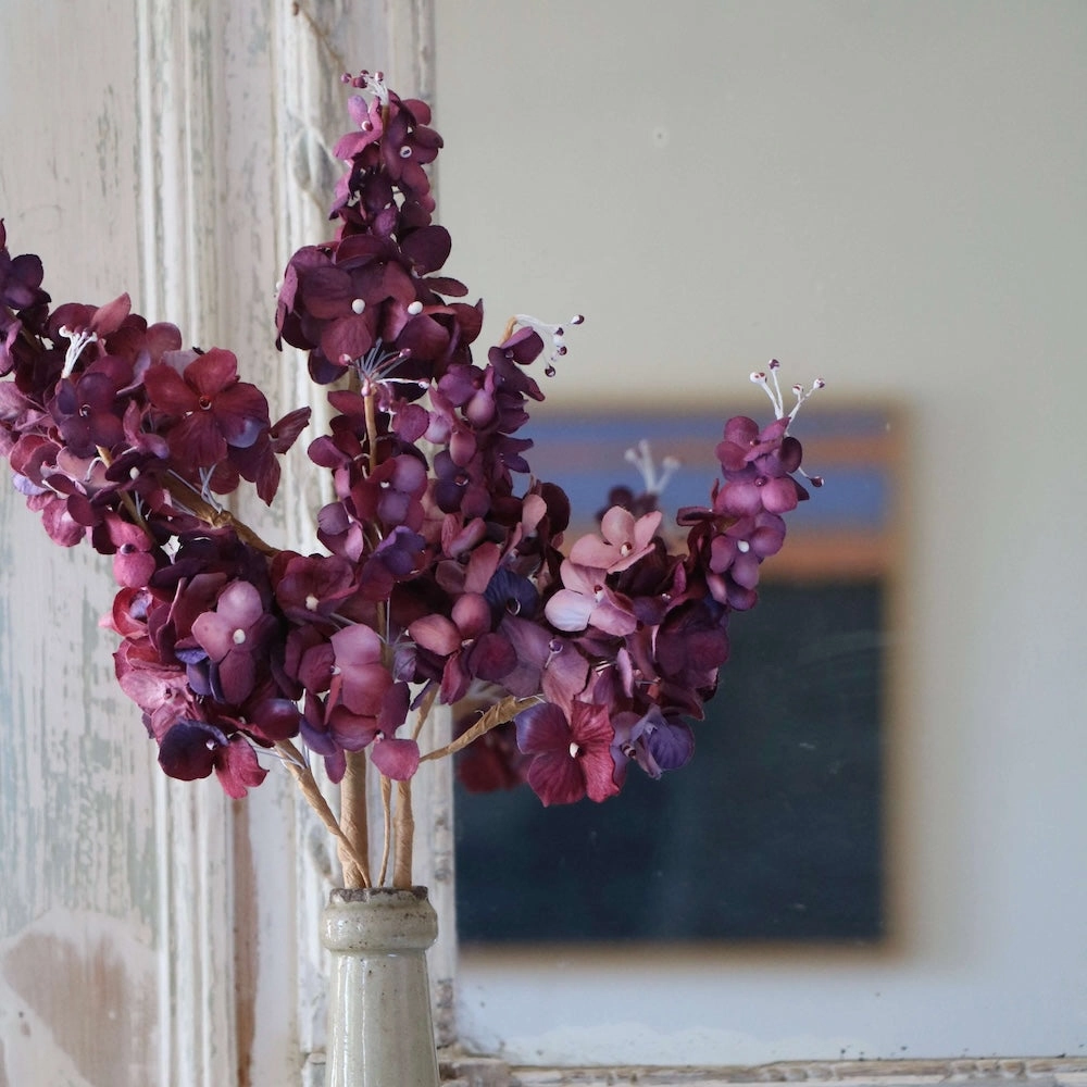 Hortensia panicul en papier violet