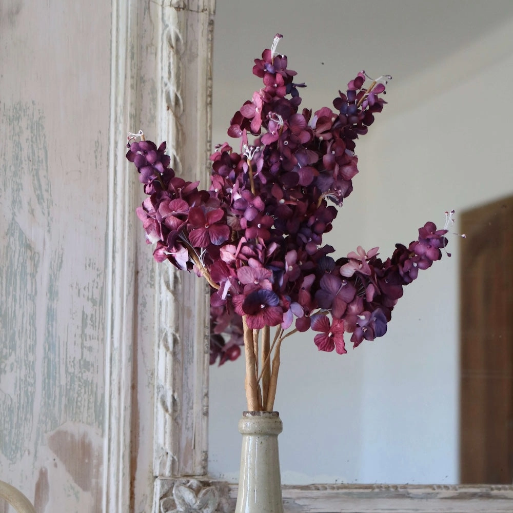 Hortensia panicul en papier violet