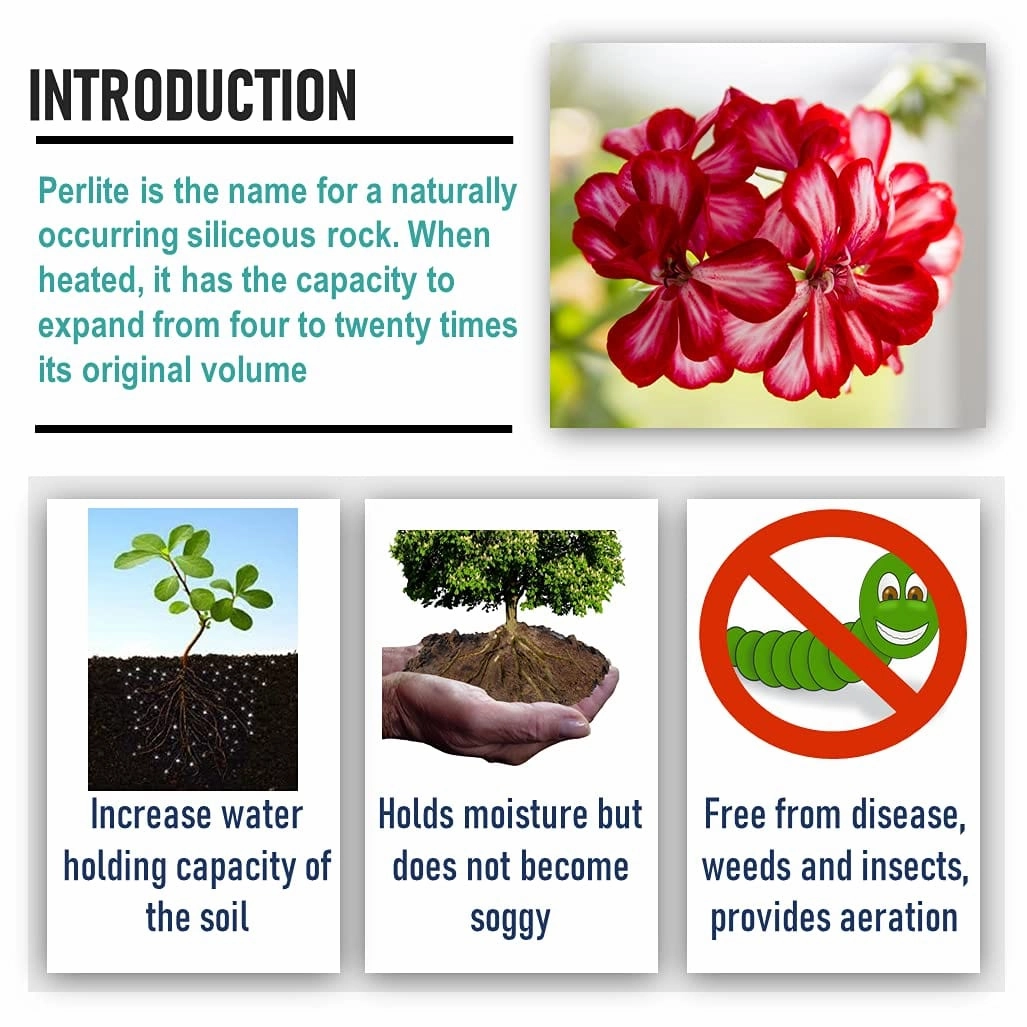 Horticultural Perlite And Vermiculite Combo